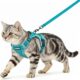 Reflective Cat Harness and Lead Set for Kittens