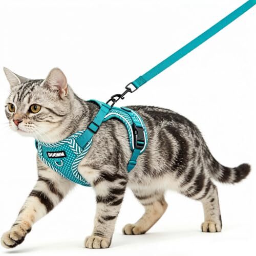 Reflective Cat Harness and Lead Set for Kittens