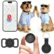 Cat Tracker With Real Time Location