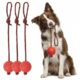 Bobppop Dog Ball on Rope for Small Dogs