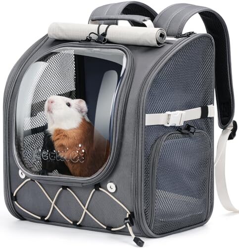 Pecute Bubble Pet Carrier Backpack for Small Animals