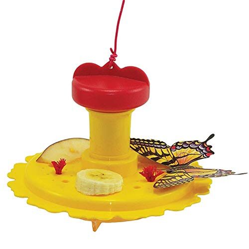 Songbird Essentials 2 Pack Butterfly Feeder With Nectar