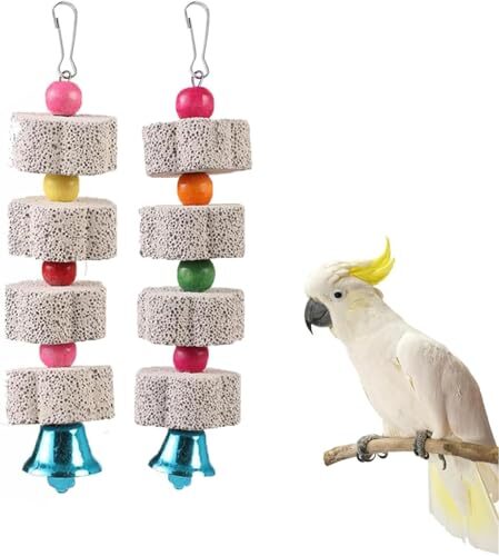 Cawhui Beak Grinding Parrot Chew Toys 2 Pack