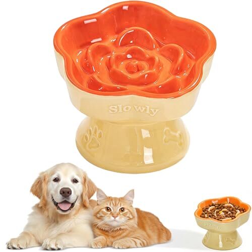 Meetoz Slow Feeder Cat Bowl Plum Blossom Orange