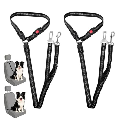 ChioSun Reflective Dog Lead with Bungee Tether
