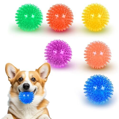 6-Pack Dog Squeak Toys for Small and Medium Dogs