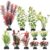 Plastic Aquarium Plants Set of 11 for Fish