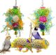 Dtnewsun Foraging Shredder Toy for Parrots