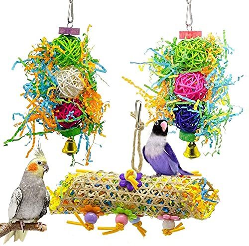 Dtnewsun Foraging Shredder Toy for Parrots