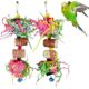 Multicoloured Chewing Parrot Toys 2 Pack
