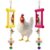 Nauze Hanging Bird Toy Set of 2 for Chickens