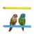 Wooden Bird Perch Pack Of 2 For Parrots