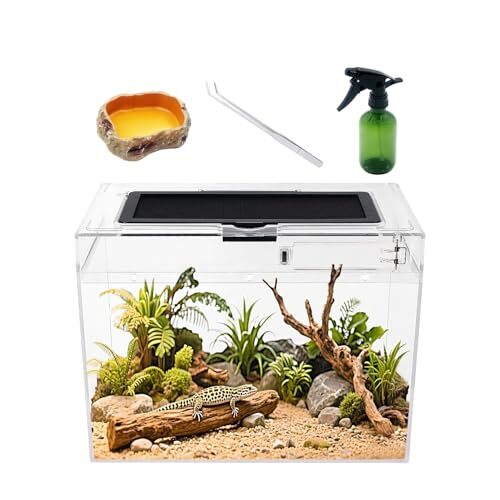 Waterproof Mini Reptile Terrarium For Small Reptiles & Amphibians