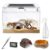 Small Reptile Terrarium Kit With Accessories