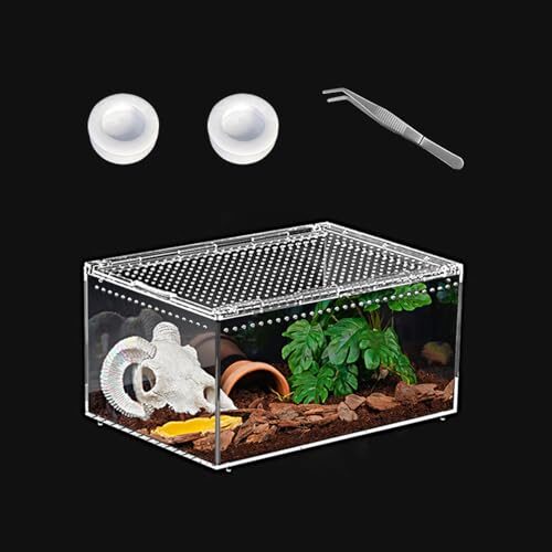 Polycarbonate Reptile Terrarium for Small Animals