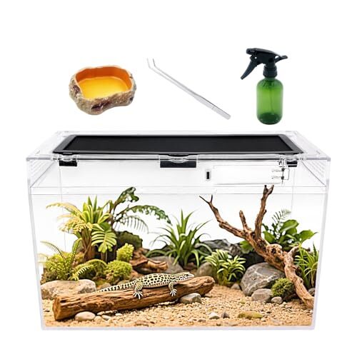 Reptile Growth Screen Top Terrarium for Small Animals