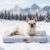 Orthopaedic Dog Cooling Mat for Medium Dogs