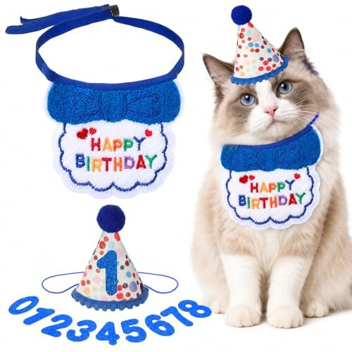 Cobee Cat Collar Birthday Set with Hat and Number