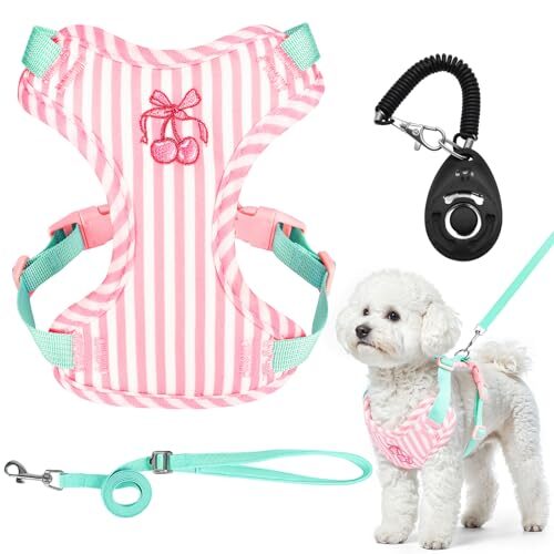 No Pull Dog Harness for Small and Medium Dogs