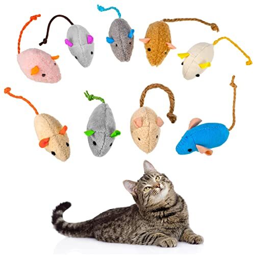 Dacitiery Interactive Catnip Toys for Cats