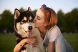 Ways to improve your relationship with your dog