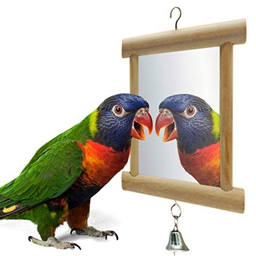 Beylos Boylos Double Bird Mirror With Bell