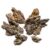 Unocho Natural Dragon Stone Aquarium Rocks