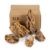 ChaoLeHo Natural Dragon Stone For Aquariums