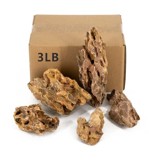 ChaoLeHo Natural Dragon Stone For Aquariums
