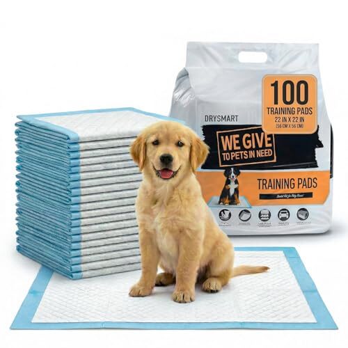 DrySmart Large Training Pads for Puppies