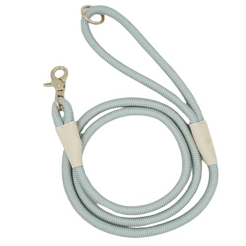 Braided Nylon Dog Lead with Leather Trim