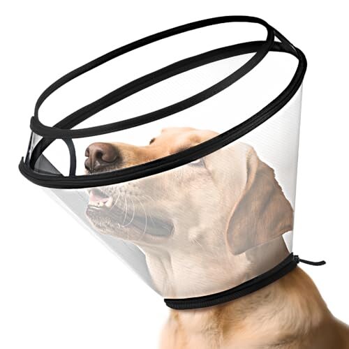 Adjustable Dog Collar for Large Dogs