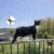 Ancecos Cat Balcony Safety Net Black