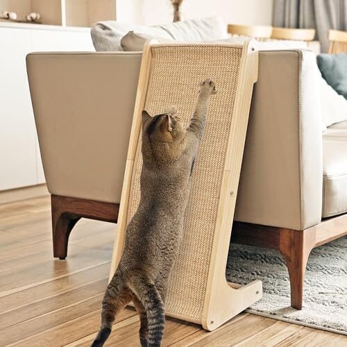 PETKARAY Interactive Cat Scratching Post for Indoor Cats
