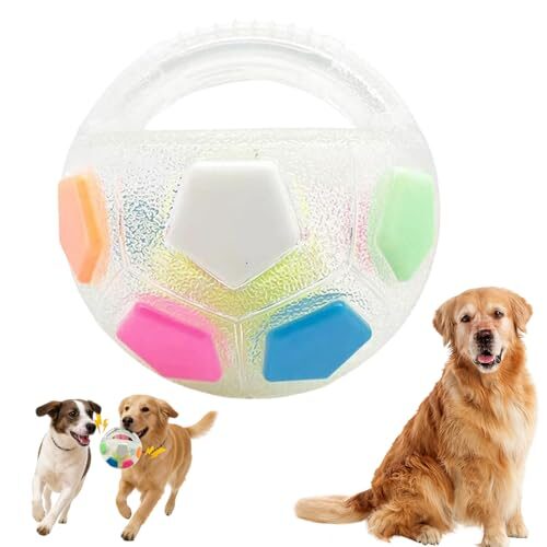 Heavy Duty Dog Ball for Medium and Large Dogs