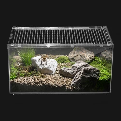 Clioran Large Terrarium For Small Reptiles And Insects