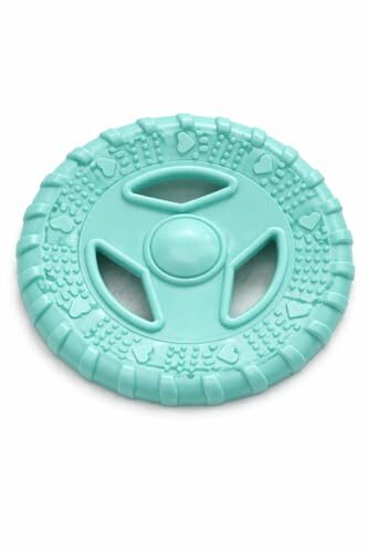 Pet Guru Dog Frisbee Medium Mint for Active Dogs