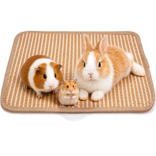 Sisal Scratching Pad for Small Animals