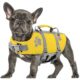 Queenmore Reflective Dog Lifejacket for Large Dogs