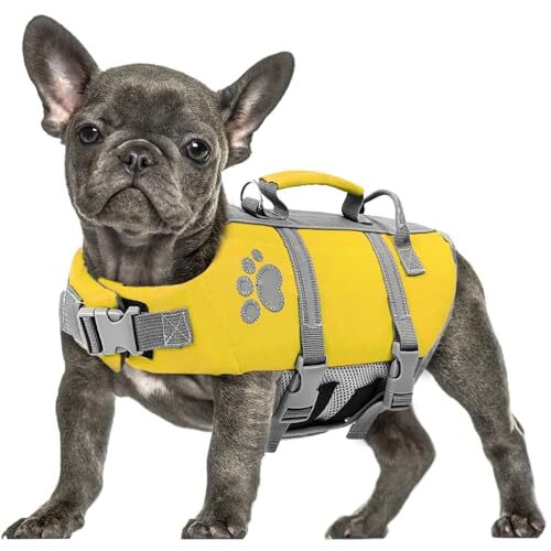 Queenmore Reflective Dog Lifejacket for Large Dogs
