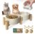 Homish Raised Ceramic Bowl Set for Dogs and Cats