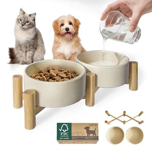 Homish Raised Ceramic Bowl Set for Dogs and Cats