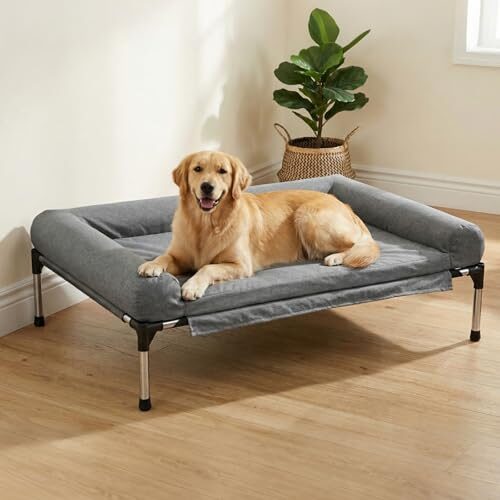 Orthopaedic Dog Bed for Large Dogs