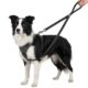 Reflective Dog Training Lead for Medium and Large Dogs