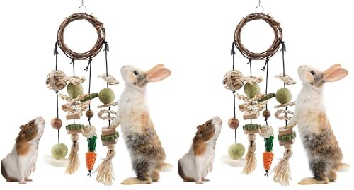 Erkoon Small Animal Chew Toy for Rabbits