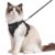 Rabbitgoo Reflective Cat Harness for Medium to Large Cats