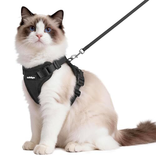 Rabbitgoo Reflective Cat Harness for Medium to Large Cats