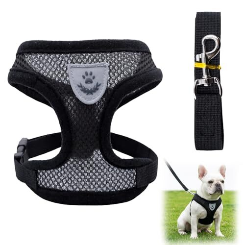 Adjustable Cat Harness And Lead For Kittens