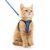 Rabbitgoo Adjustable Cat Harness for Kittens