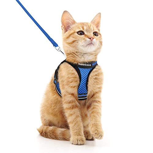 Rabbitgoo Adjustable Cat Harness for Kittens